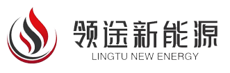 深圳领途新能源实业有限公司