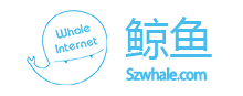 鲸鱼互联网
