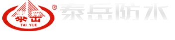 首页