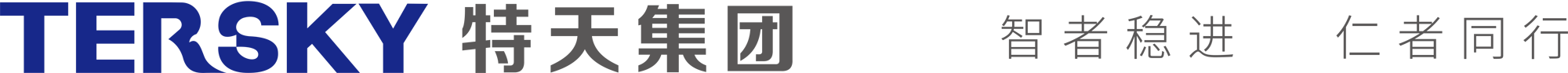 特天集团
