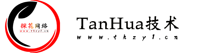 探花网络技术空间