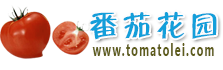 番茄花园官网