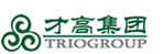 才高集团