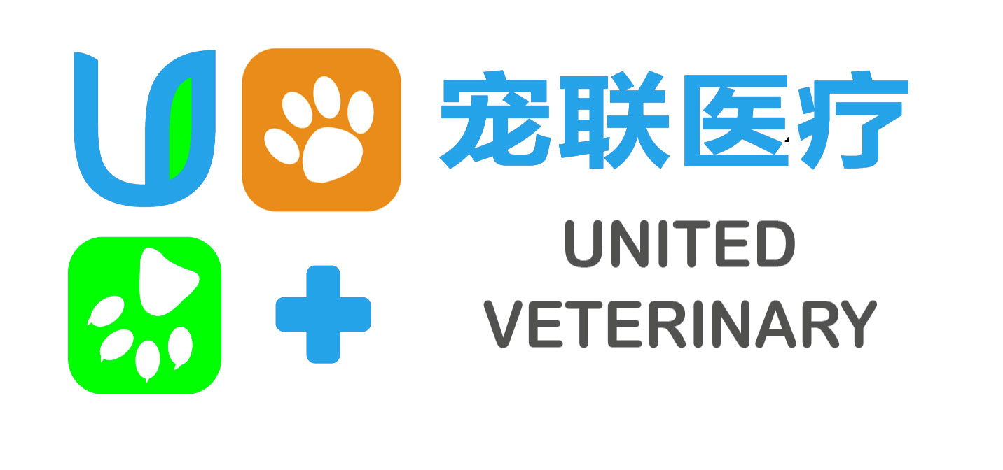 猫狗宠物生病在线问诊咨询