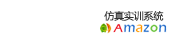亚马逊仿真实训系统