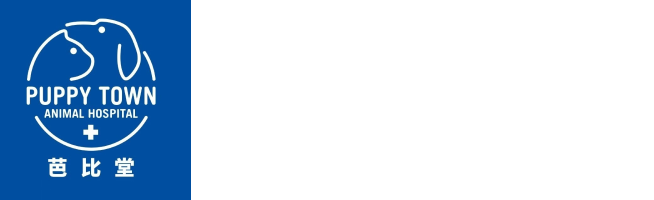 宠物医院在线咨询