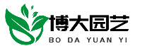 种子批发,苗木基地,园林绿化,博大园艺