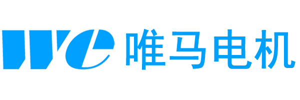 上海唯马电机