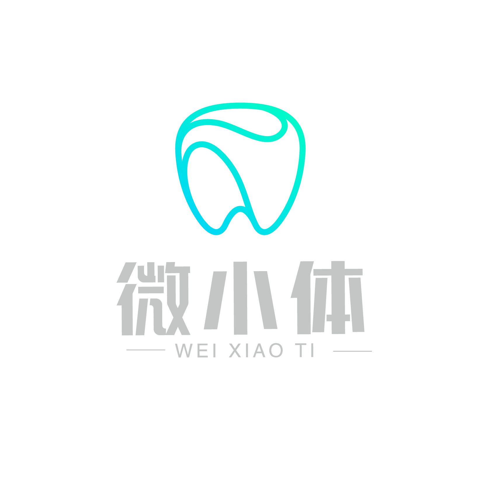 微小体