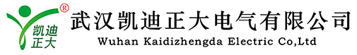 武汉凯迪正大电气有限公司