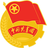 共青团武汉市委员会