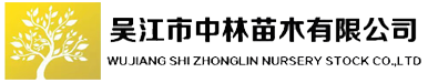 弗吉尼亚栎