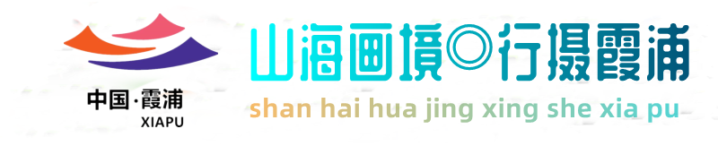 霞浦观影国际旅行社有限公司