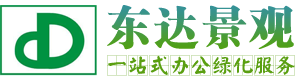 无锡花卉,无锡花卉租赁,无锡绿植租赁,无锡办公花卉租赁,无锡绿植租摆