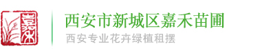 西安花卉租摆