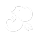 西安蓝端信息科技有限公司