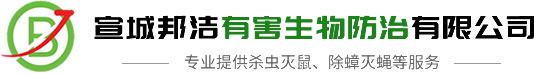 宣城灭鼠,专业灭老鼠,除蟑灭蝇,宣城邦洁有害生物防治有限公司