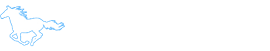 小马一键重装系统官网