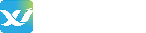 小微银税