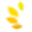 首页