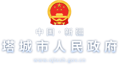 塔城市人民政府
