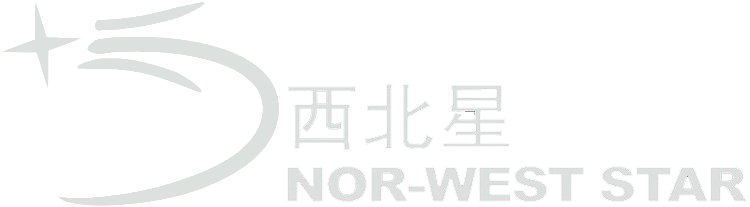 新疆西北星信息技术有限责任公司