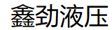 大流量齿轮油泵
