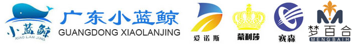 广东小蓝鲸石英石有限公司
