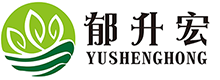 首页