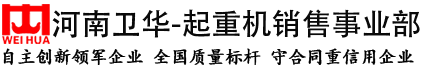 河南卫华起重机,卫华单梁起重机,电动葫芦厂家