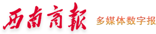 西南商报2024年06月04日