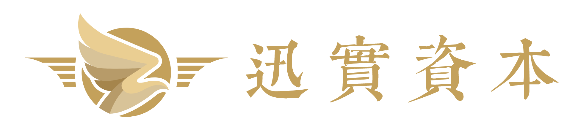 迅实资本