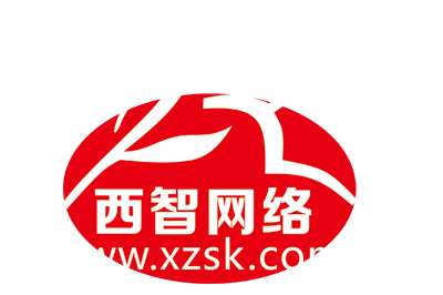 西智网络