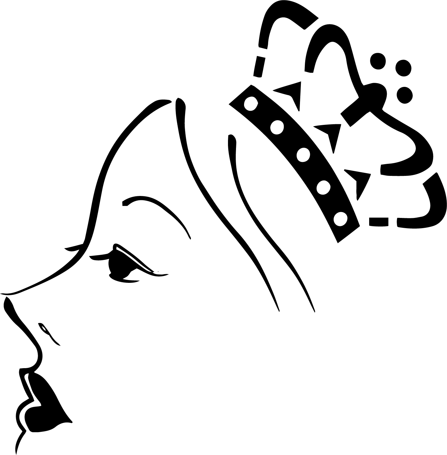 雅韵国际问题性肌肤解决专家