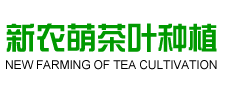 首页