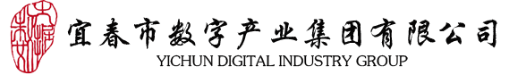 宜春市数字产业集团有限公司