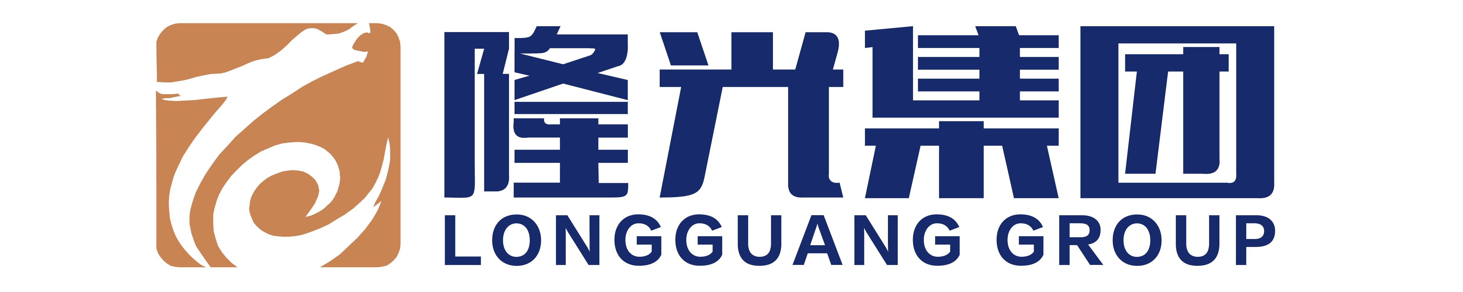 银川隆光集团有限公司