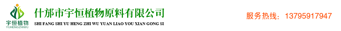 首页