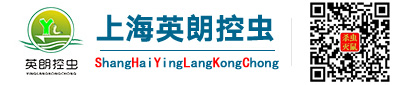 上海英朗虫害防治