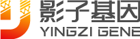影子基因