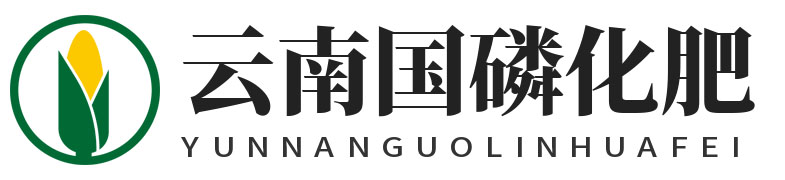 云南国磷化肥有限公司官网