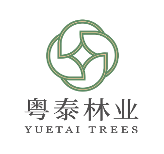 贵州粤泰林业发展有限公司