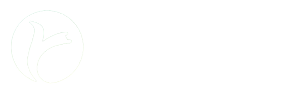 联系我们