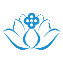 沈阳和平碧莲盛医疗美容诊所有限公司