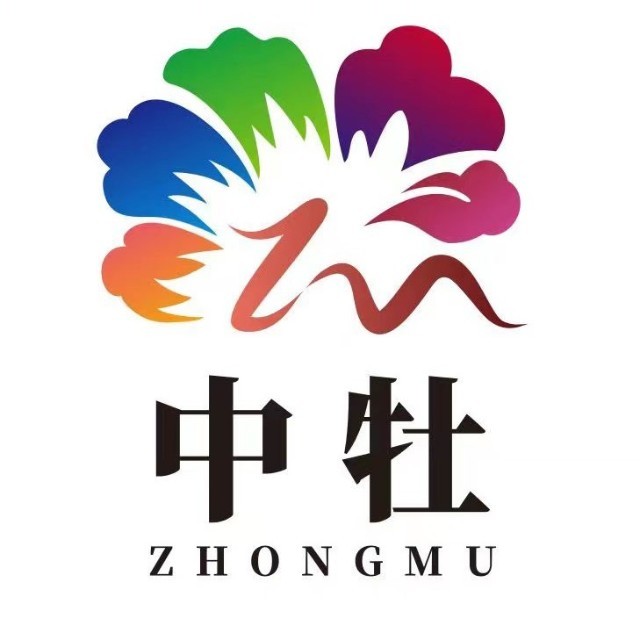 首页