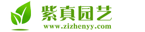 上海绿化绿植养护租赁