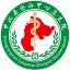 首页