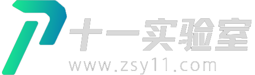 十一实验室