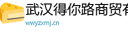 武汉得你路商贸有限公司