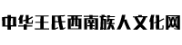 中华王氏西南族人文化网